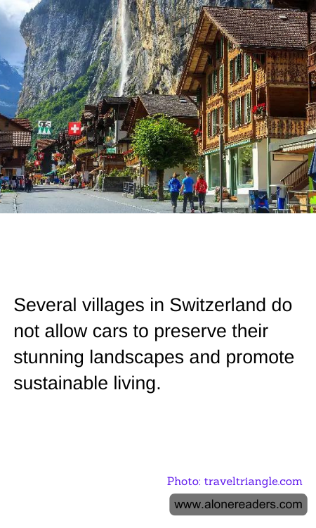 General Knowledge Learning Cards