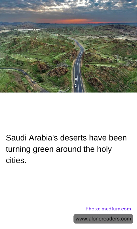 Saudi Arabia's deserts have been turning green around the holy cities.