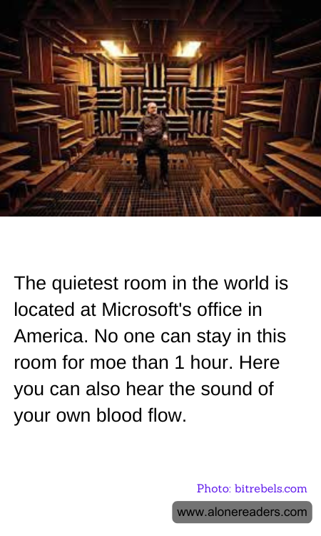 General Knowledge Learning Cards