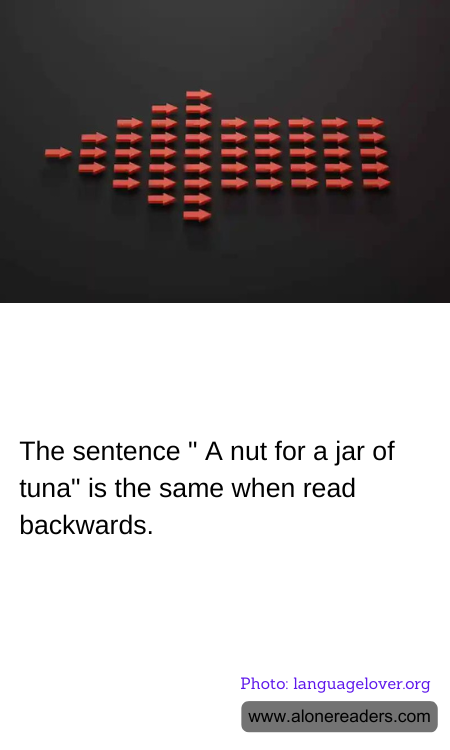 General Knowledge Learning Cards