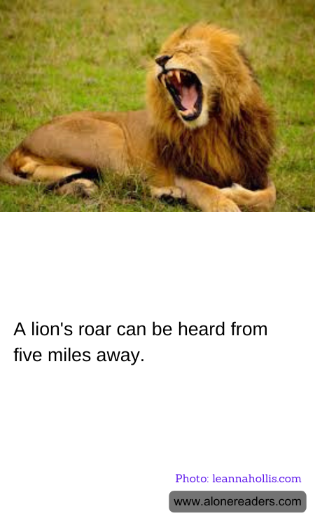 General Knowledge Learning Cards