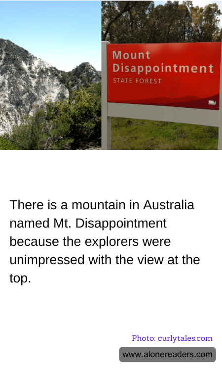 General Knowledge Learning Cards