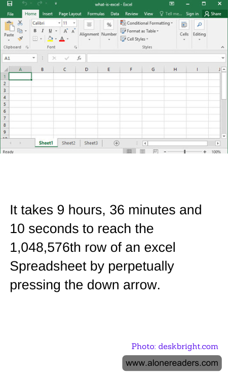 General Knowledge Learning Cards