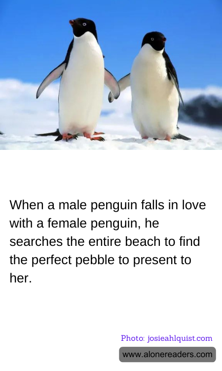 General Knowledge Learning Cards