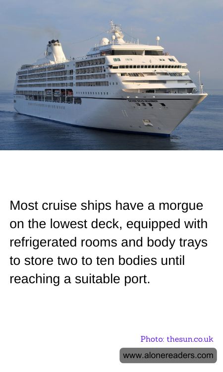 General Knowledge Learning Cards