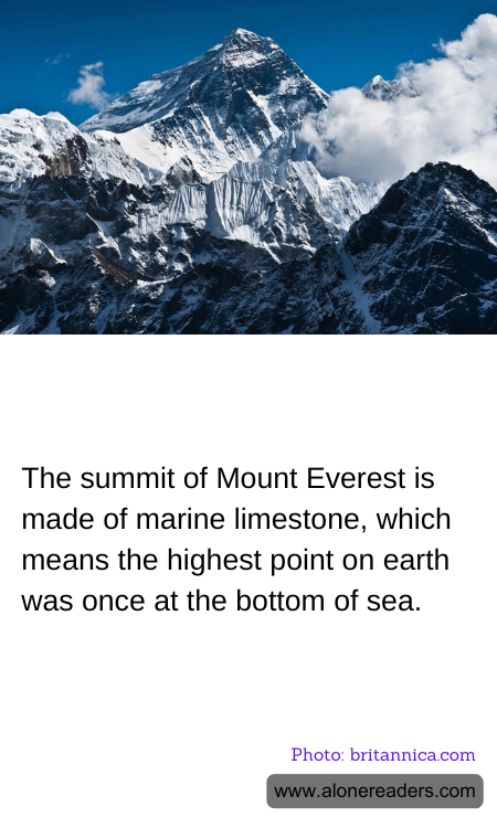 The summit of Mount Everest is made of marine limestone, which means the highest point on earth was once at the bottom of sea.