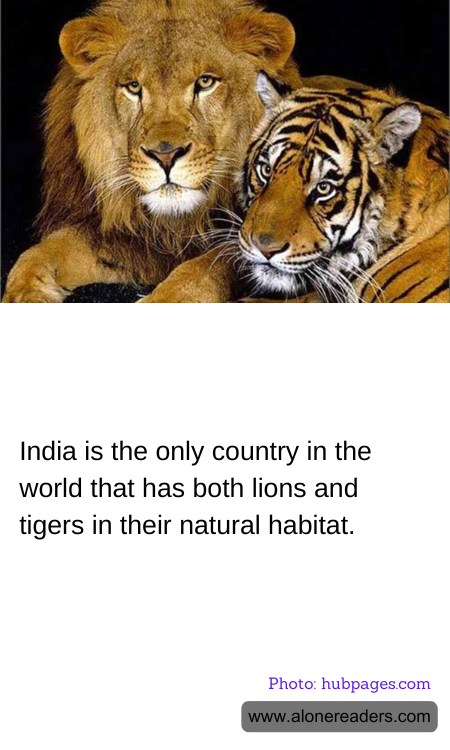 General Knowledge Learning Cards