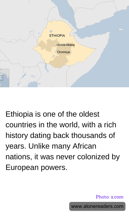 General Knowledge Learning Cards