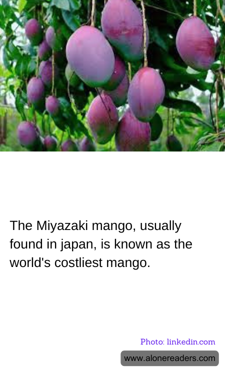 General Knowledge Learning Cards