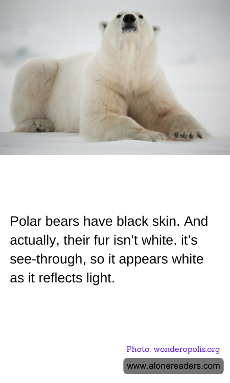 Polar bears have black skin. And actually, their fur isn’t white. it’s see-through, so it appears white as it reflects light.