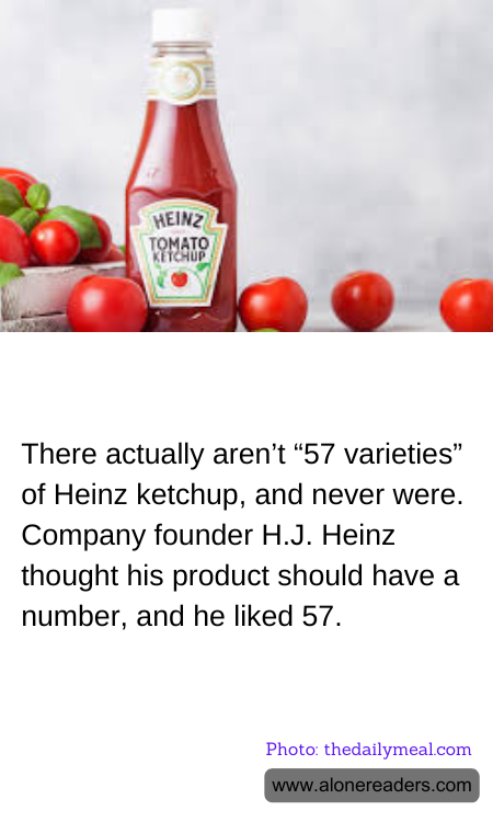 General Knowledge Learning Cards