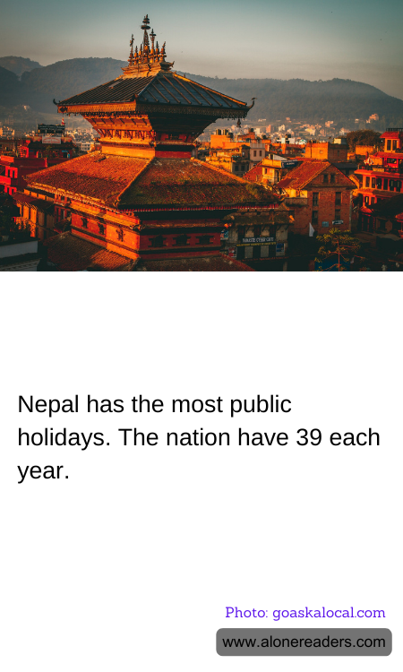 General Knowledge Learning Cards