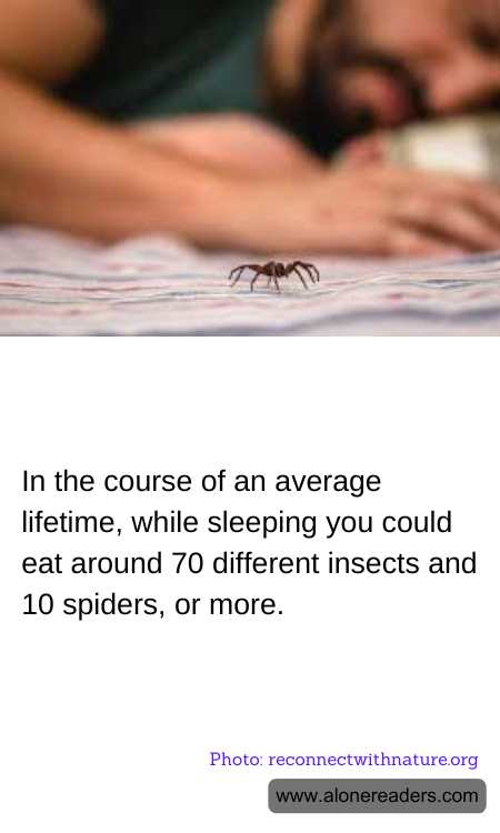 In the course of an average lifetime, while sleeping you could eat around 70 different insects and 10 spiders, or more.