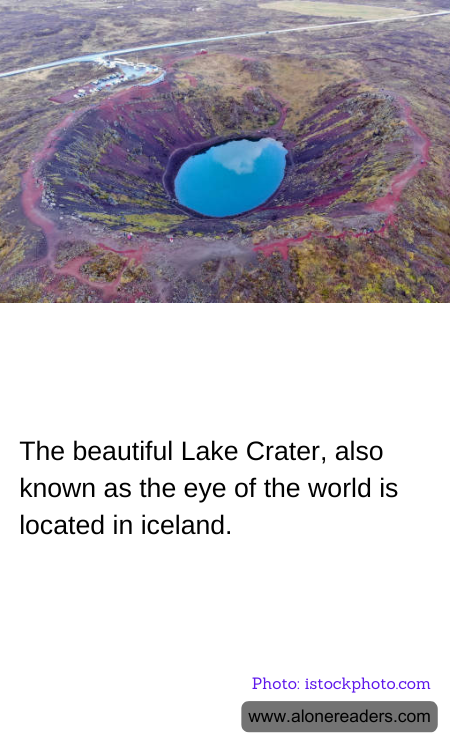 General Knowledge Learning Cards