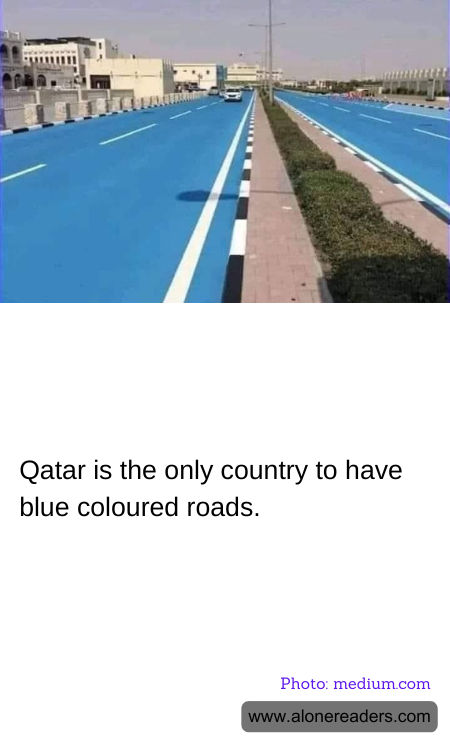 General Knowledge Learning Cards