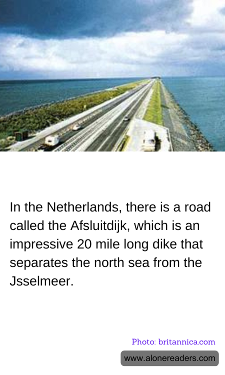 General Knowledge Learning Cards