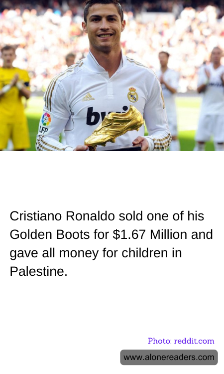 General Knowledge Learning Cards