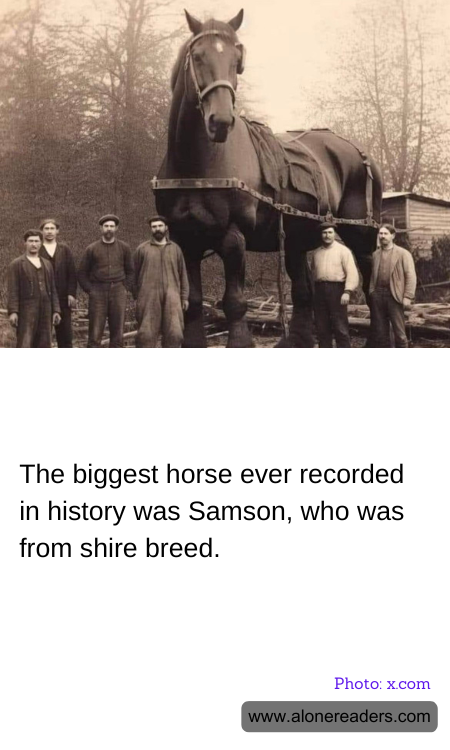 General Knowledge Learning Cards