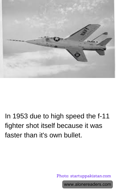 General Knowledge Learning Cards