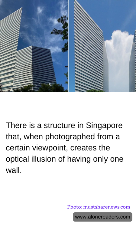 General Knowledge Learning Cards