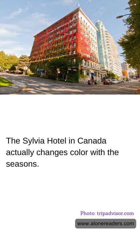 The Sylvia Hotel in Canada actually changes color with the seasons.