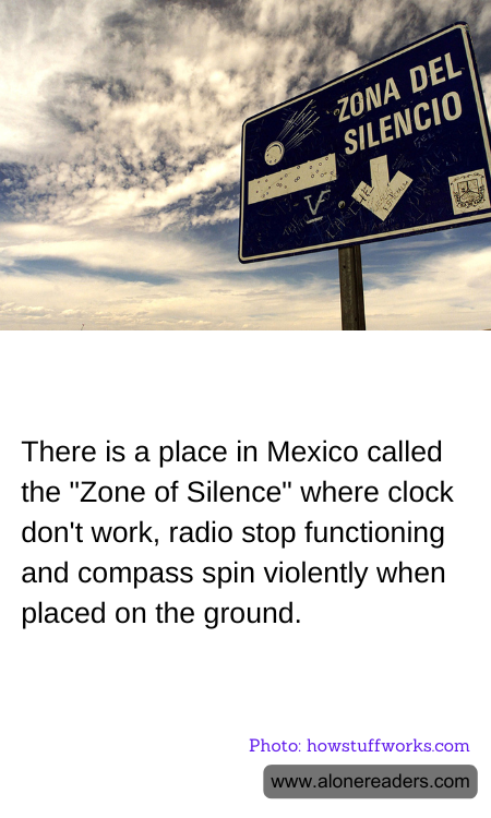 General Knowledge Learning Cards