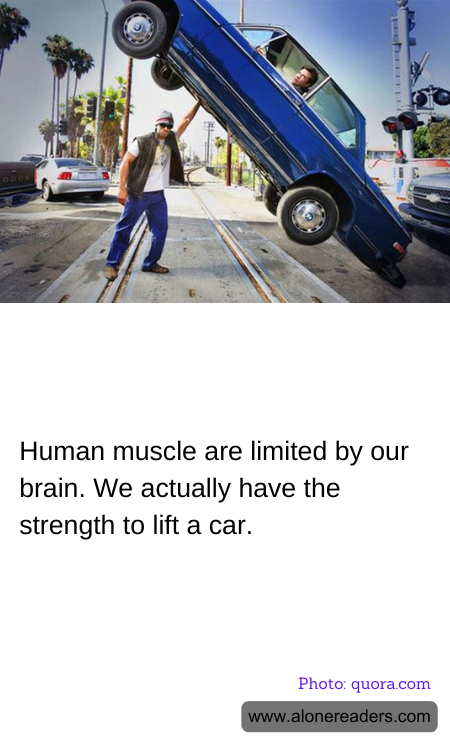Human muscle are limited by our brain. We actually have the strength to lift a car.