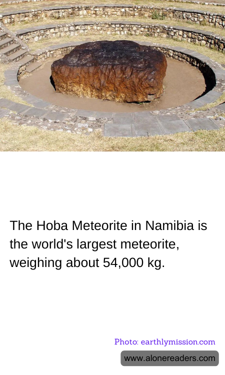 General Knowledge Learning Cards