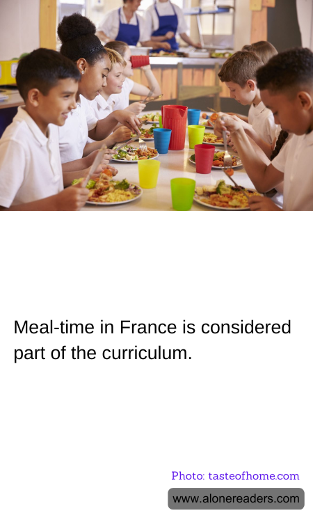 General Knowledge Learning Cards