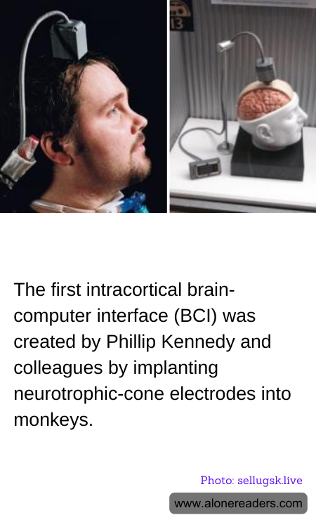 General Knowledge Learning Cards