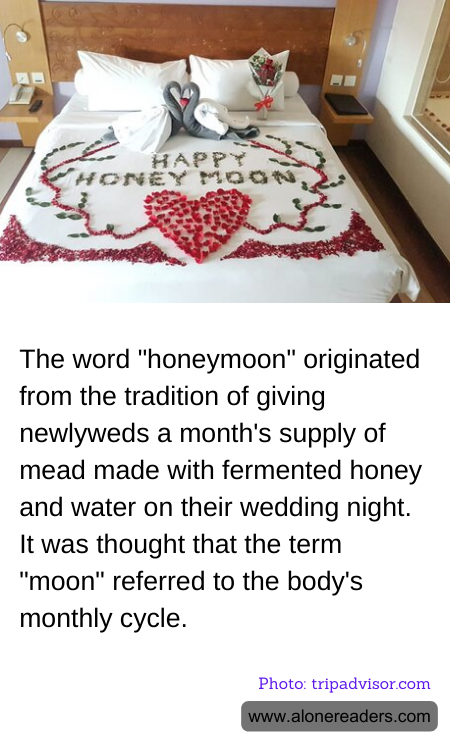 General Knowledge Learning Cards