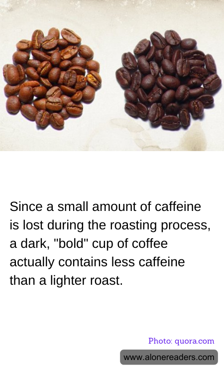 General Knowledge Learning Cards