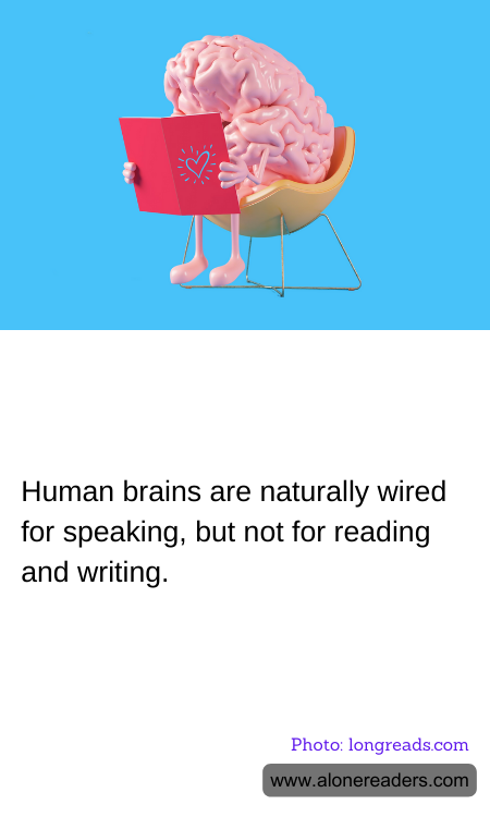 General Knowledge Learning Cards