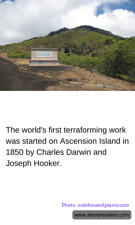 General Knowledge Learning Cards