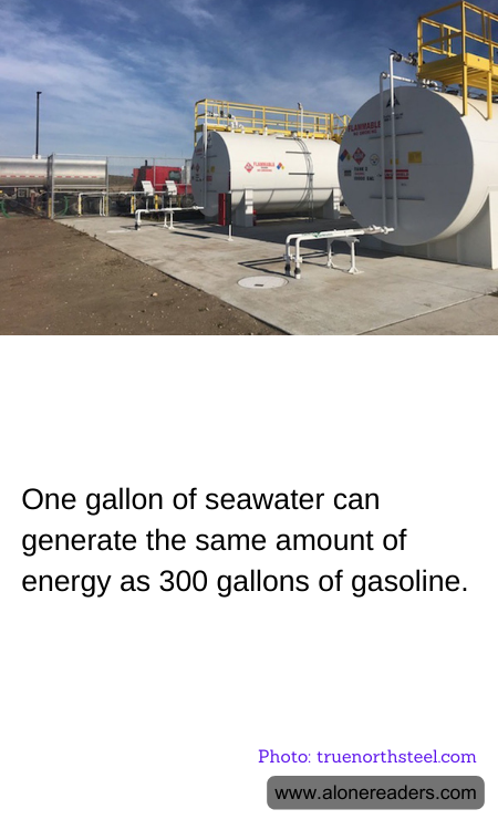 General Knowledge Learning Cards