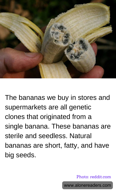 General Knowledge Learning Cards