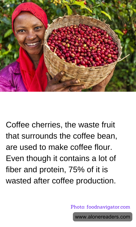 General Knowledge Learning Cards