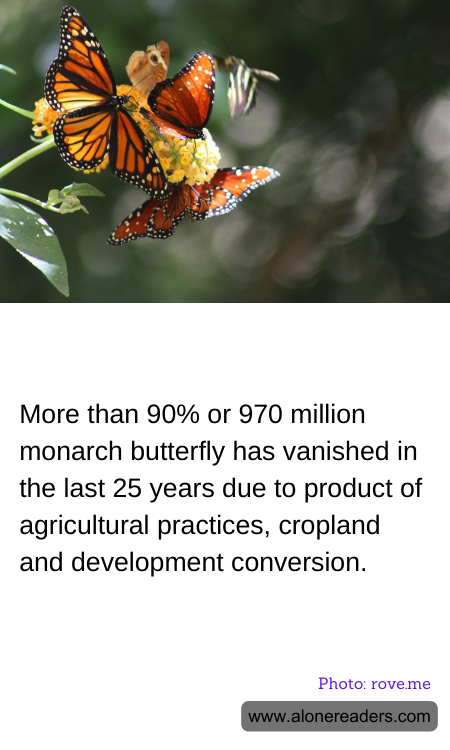 General Knowledge Learning Cards