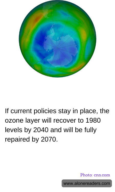 General Knowledge Learning Cards