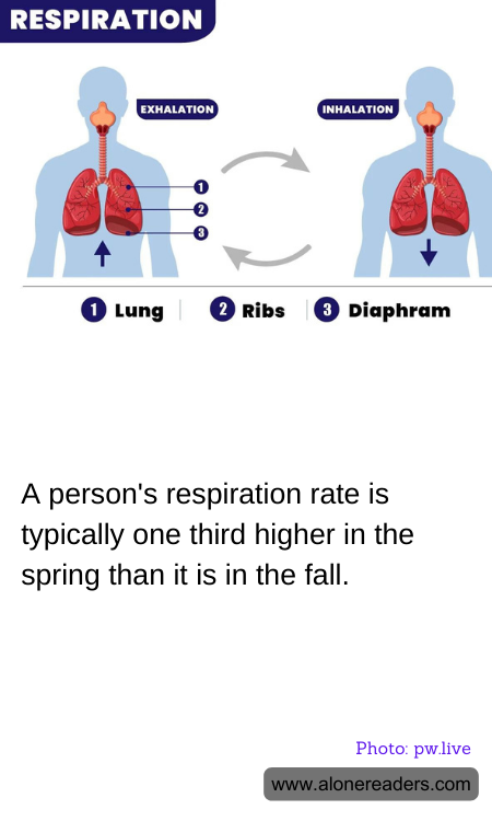 General Knowledge Learning Cards