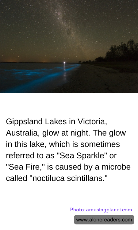 Gippsland Lakes in Victoria, Australia, glow at night. The glow in this lake, which is sometimes referred to as "Sea Sparkle" or "Sea Fire," is caused by a microbe called "noctiluca scintillans."