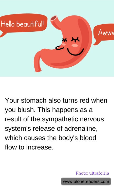Your stomach also turns red when you blush. This happens as a result of the sympathetic nervous system's release of adrenaline, which causes the body's blood flow to increase.
