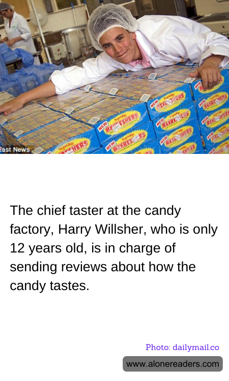 General Knowledge Learning Cards