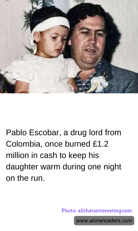 General Knowledge Learning Cards