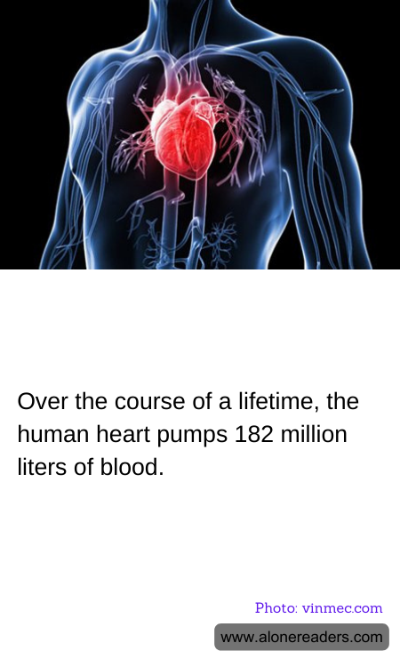 General Knowledge Learning Cards