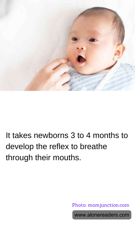 General Knowledge Learning Cards