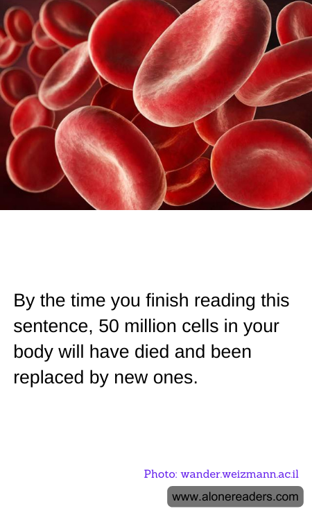 General Knowledge Learning Cards