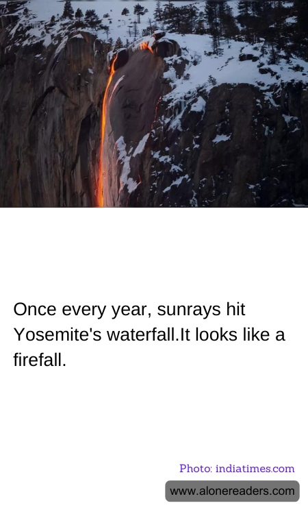 General Knowledge Learning Cards