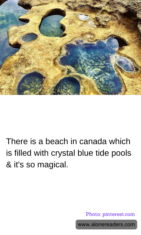 There is a beach in canada which is filled with crystal blue tide pools & it's so magical.