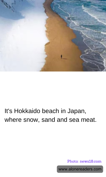 General Knowledge Learning Cards